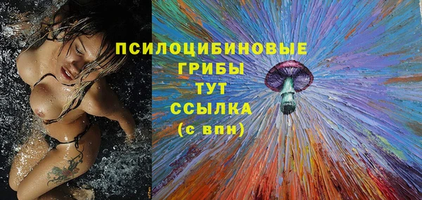 гидра Костерёво